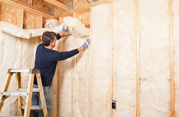 Professional Insulation Services in Anna, TX